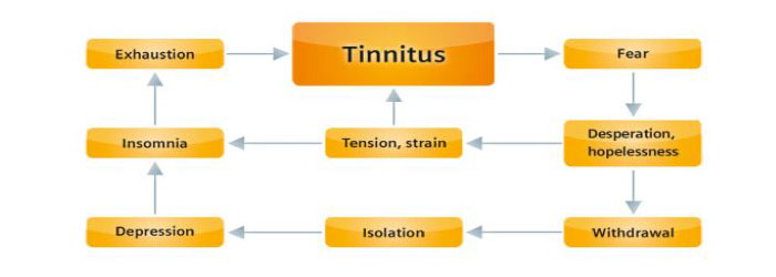 Tinnitus evaluation